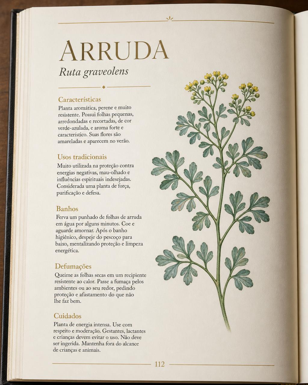 Página interna do eBook sobre a Arruda (Ruta graveolens) com ilustração botânica, banhos, defumações e cuidados