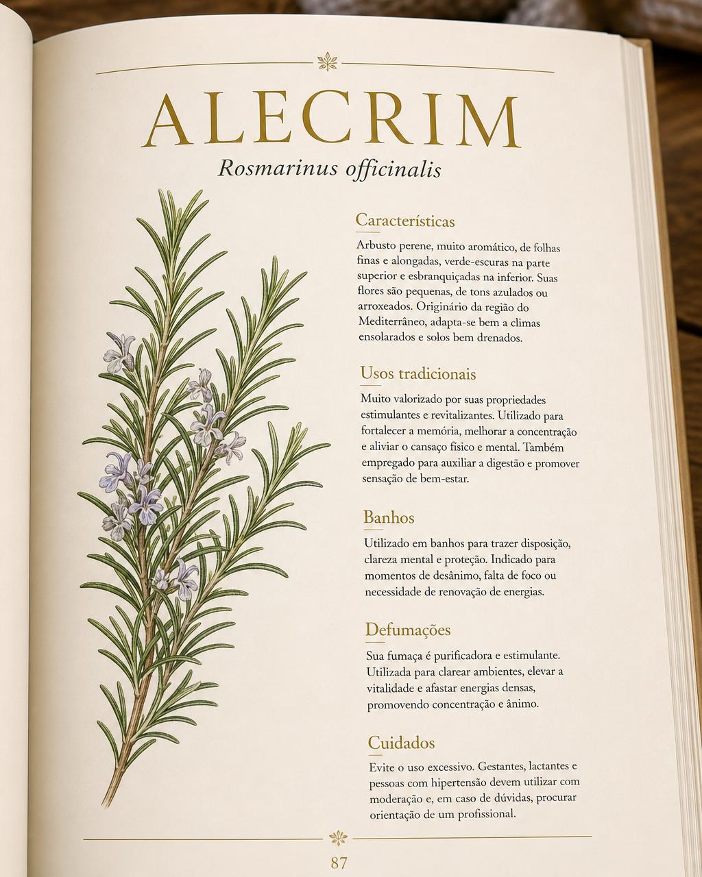 Página interna do eBook sobre o Alecrim (Rosmarinus officinalis) com ilustração botânica e usos tradicionais