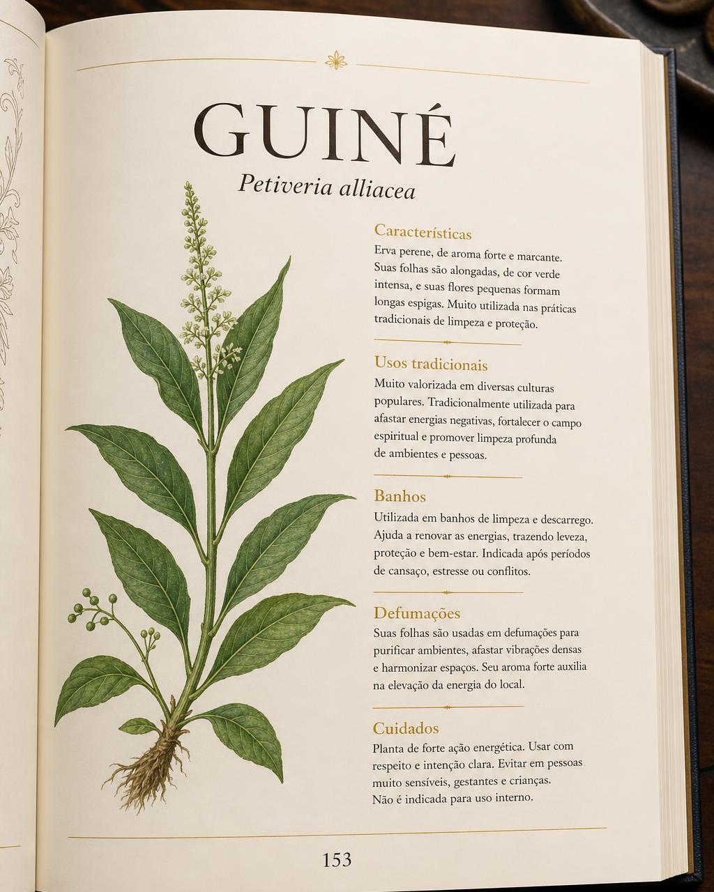 Página interna do eBook sobre a Guiné (Petiveria alliacea) com ilustração botânica, banhos e defumações